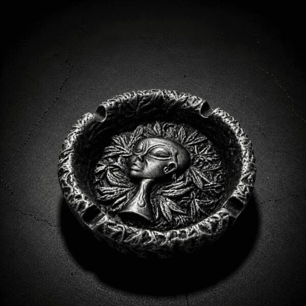 The Offering | Ashhthetic